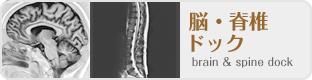 脳・脊椎ドック