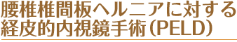 腰椎椎間板ヘルニアに対する経皮的内視鏡手術(PELD)